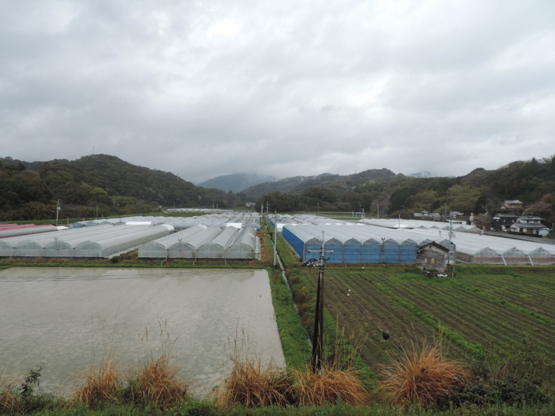 天晴ひなた 高知